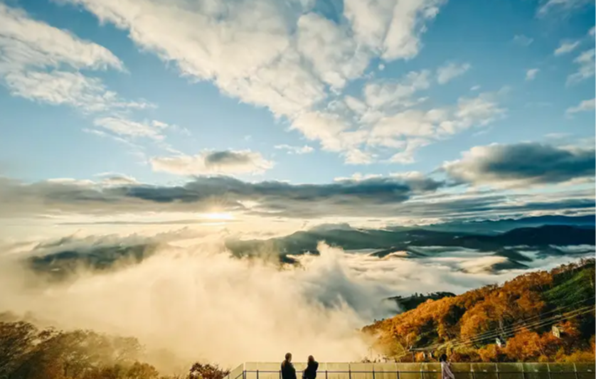 [북해도 전세기] 후라노/비에이/삿포로/오타루 4일/5일 ＃클럽메드 토마무 2박＃라벤더＃ALL포함