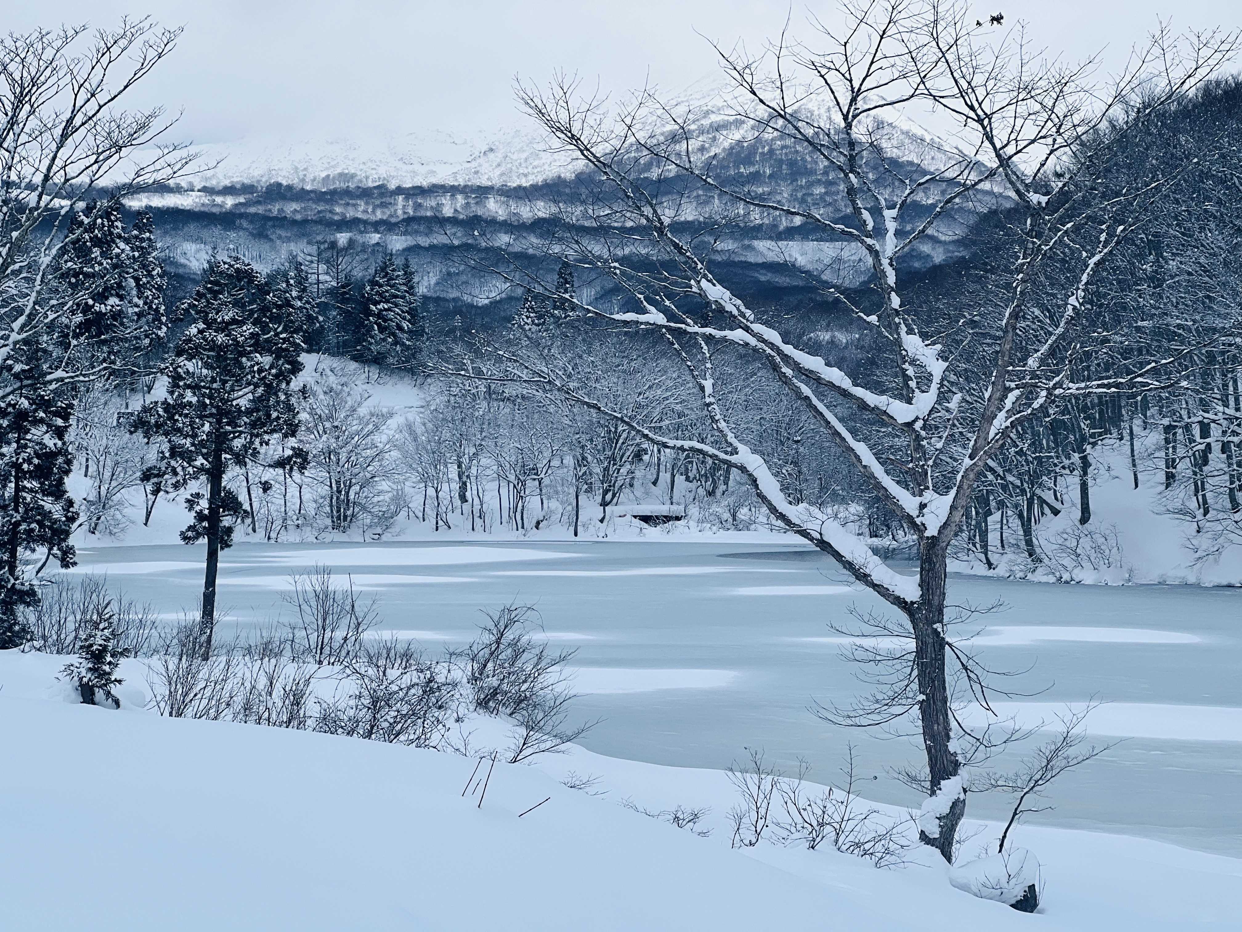 [기차여행] 최대적설지 설국열차+온천 7일 #겨울BEST#아오모리에서도쿄까지#내륙산간관통