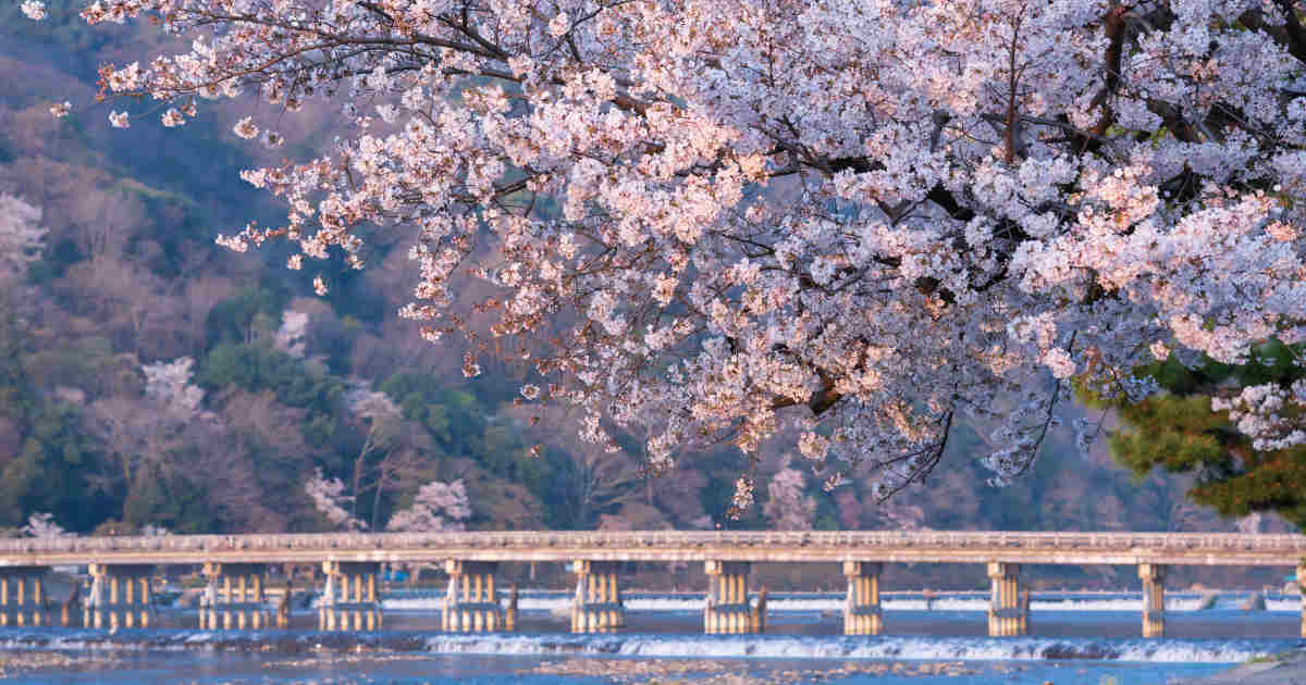 오사카/교토/고베 4일 #김포출발 #아시아나항공 #명품료칸 #USJ #온천