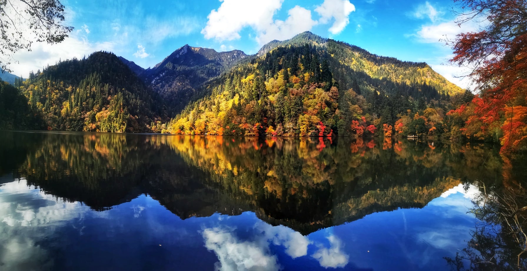 구채구/서안 5일 #노팁 #열차이동 #신선지포함