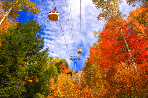 미동부/캐나다 11일 #VIP리무진버스 #뉴욕 #나이아가라 #퀘백 #보스턴